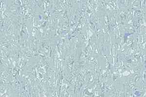 Линолеум Gerflor Mipolam Cosmo 2607 AQUAMARINE фото  | FLOORDEALER